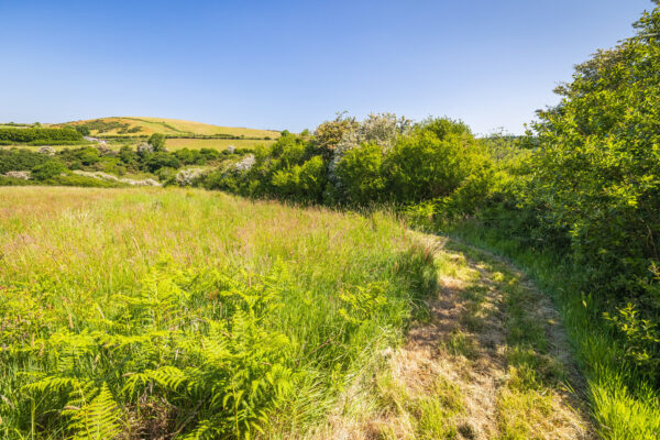 Nant-Y-Coy Mill, SA62 5LR