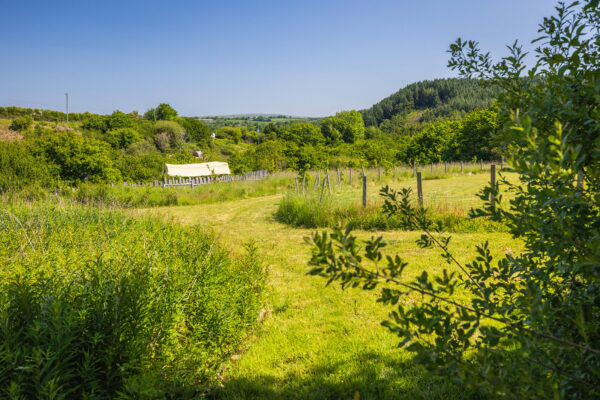 Nant-Y-Coy Mill, SA62 5LR