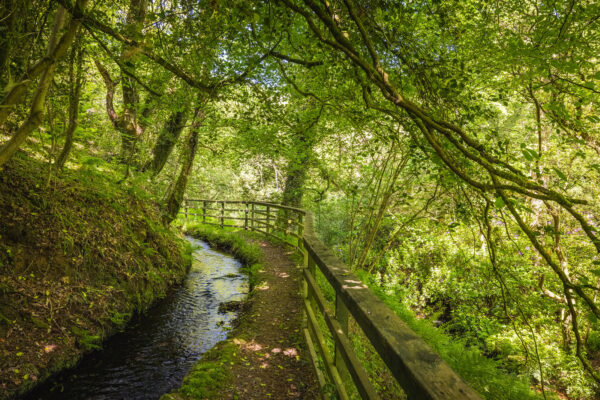 Nant-Y-Coy Mill, SA62 5LR