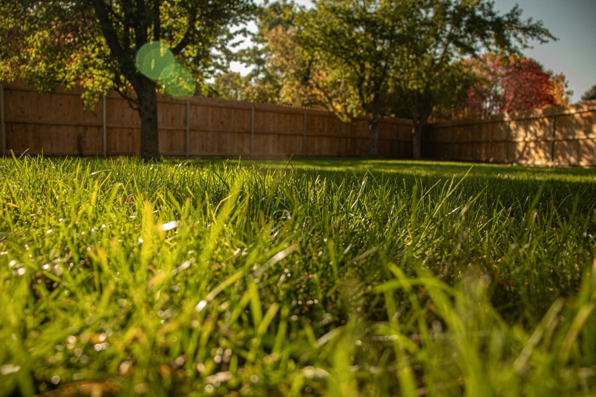 Garden Improvements That Increase Property Value