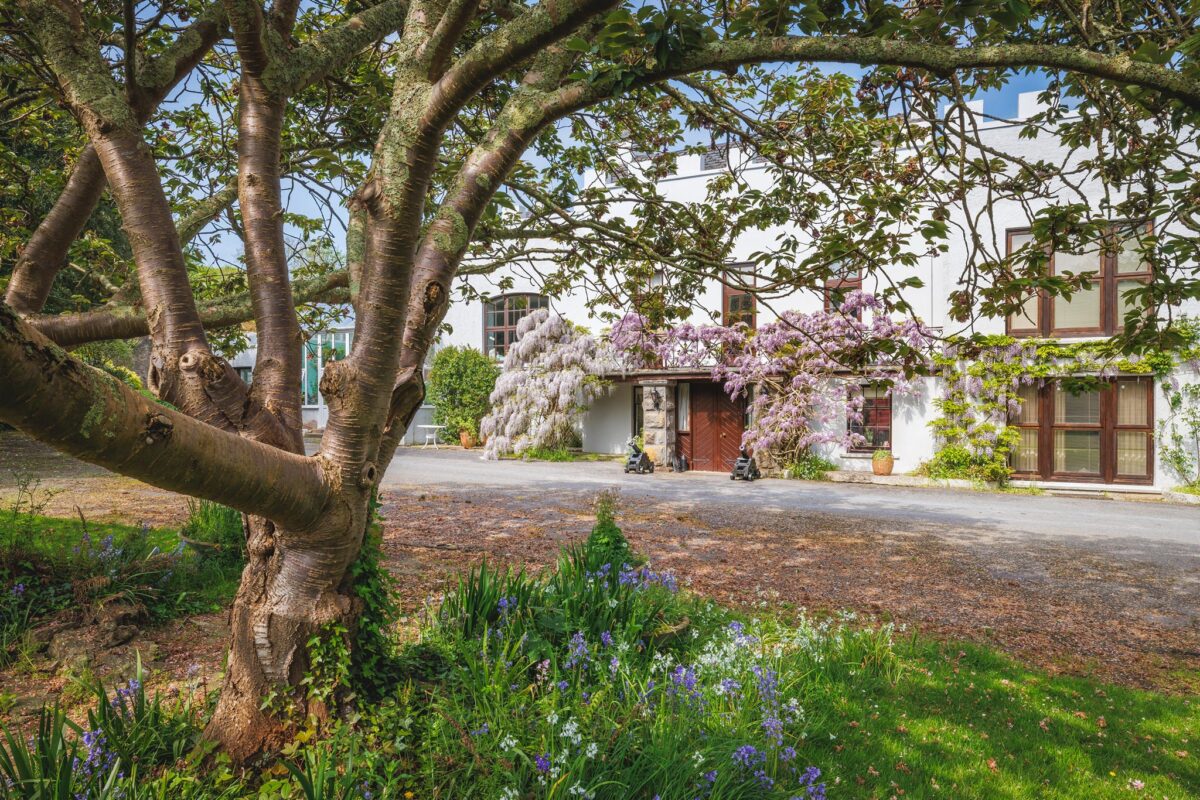 The Hall, SA71 5AN