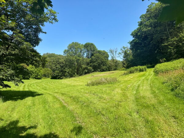 The Walled Garden, SA65 9LY