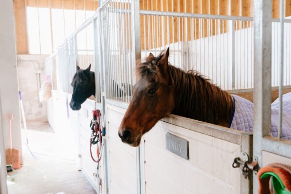 Galon Y Mynydd, SA4 0ZW