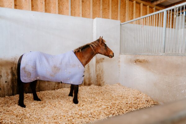 Galon Y Mynydd, SA4 0ZW