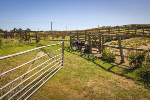 Caerhys, SA62 6DX