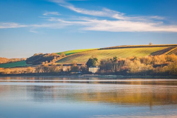 Brynymor House, SA43 1PA