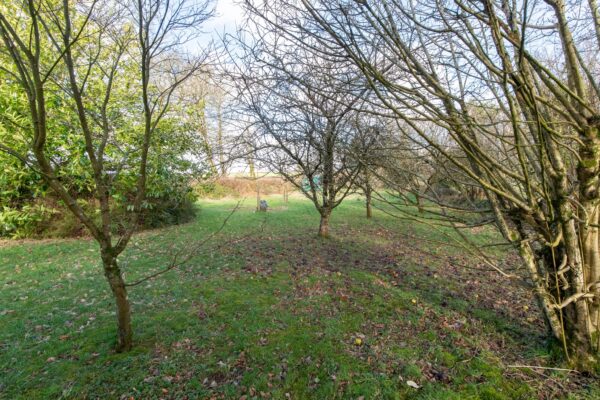 Cumberland Cottage, SA62 4PG