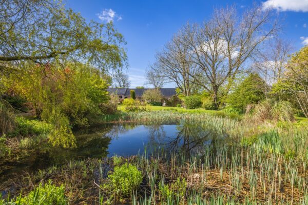 Longlands, SA62 4QB